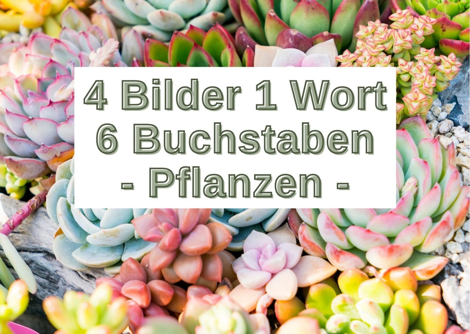 34+ Gemüsepflanze Mit 6 Buchstaben, Für gemüsepflanze hat die