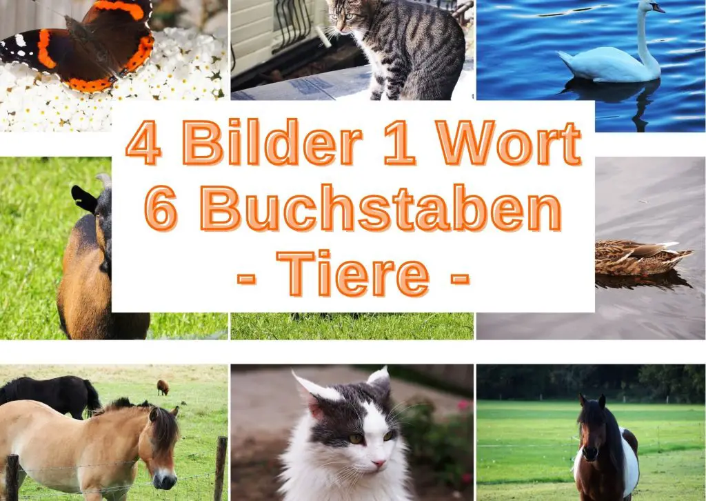 4 Bilder Ein Wort 6 Buchstaben 4 Bilder 1 Wort 6 Buchstaben (Obst) kostenlos spielen - Grau-Bunte-Zeiten