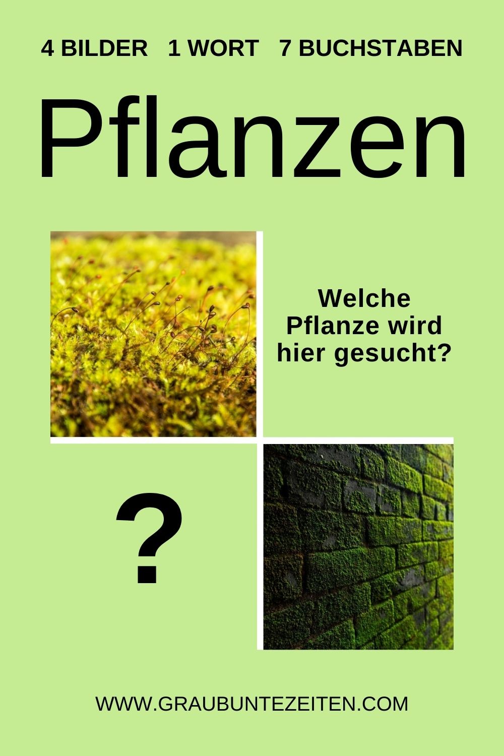 Pflanze Der See 10 Buchstaben 4 Bilder 1 Wort 7 Buchstaben (Pflanzen) kostenlos spielen - Grau-Bunte