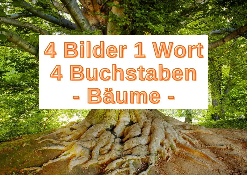 4 Bilder 1 Wort 4 Buchstaben (Pflanzen) kostenlos spielen GrauBunteZeiten 4 Bilder 1 Wort 4 Buchstaben (Pflanzen) kostenlos spielen GrauBunteZeiten