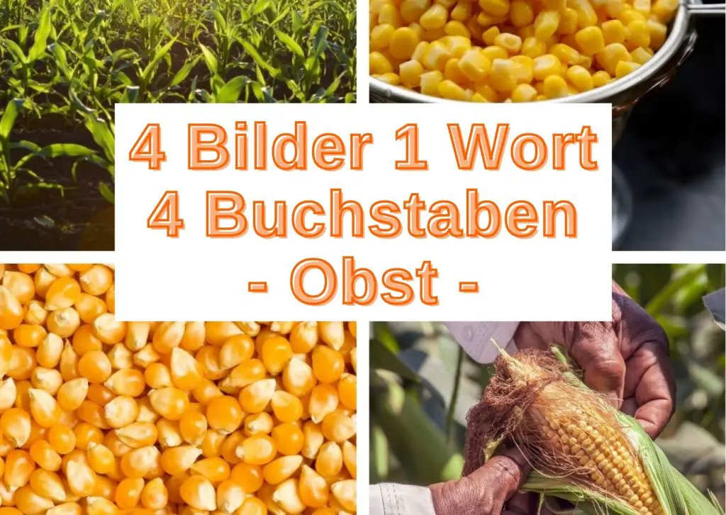 4 Bilder 1 Wort 4 Buchstaben (Sport) kostenlos spielen - Grau-Bunte-Zeiten
