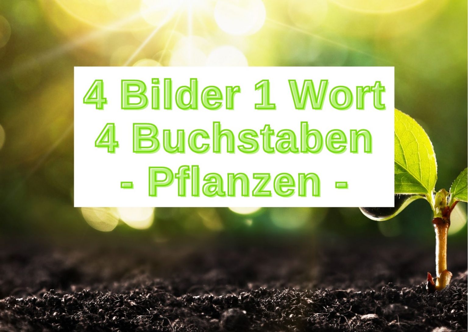 4 Bilder 1 Wort 4 Buchstaben - kostenlos spielen - Grau-Bunte-Zeiten