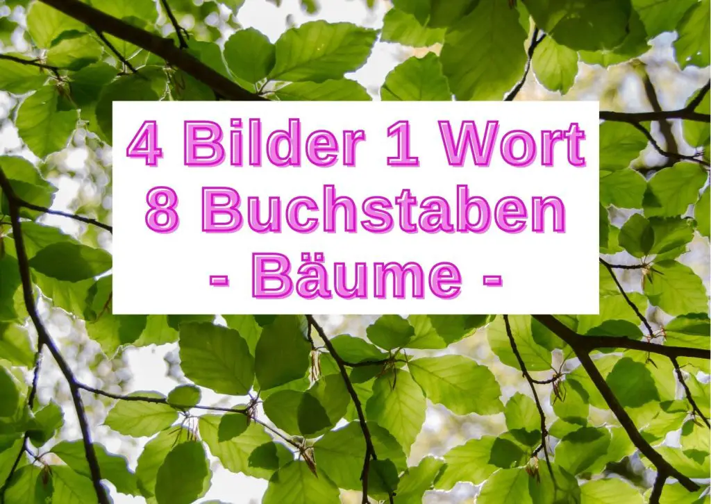 4 Bilder ein Wort Kleidung (Lösungswort mit 5 Buchstaben