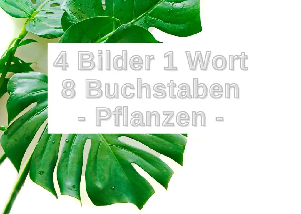 4 Bilder Ein Wort Mit 8 Buchstaben 4 Bilder 1 Wort 8 Buchstaben - kostenlos spielen - Grau-Bunte-Zeiten