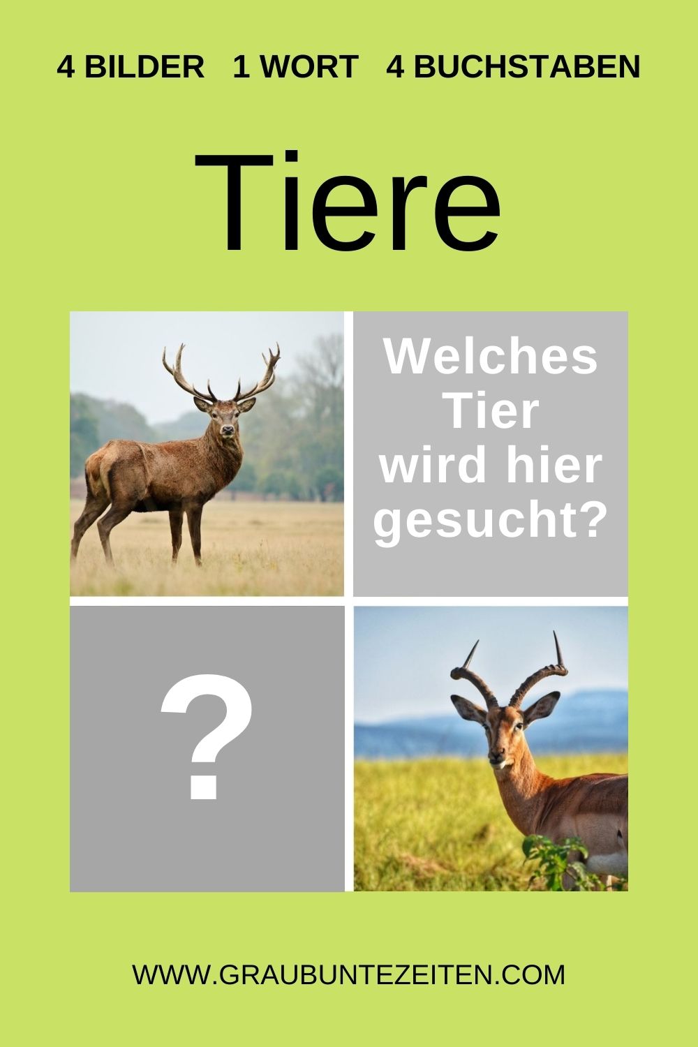 4 Bilder 1 Wort 4 Buchstaben (Tiere) kostenlos spielen - Grau-Bunte-Zeiten