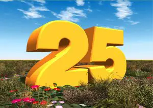 Hier sehen Sie eine Einladungskarte mit einer großen, gelben 25. Die Zahl steht auf einer Blumenwiese. Im Hintergrund ist ein strahlend blauer Himmel.