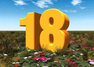 Hier sehen Sie eine Einladungskarte mit einer großen, gelben 18. Die Zahl steht auf einer Blumenwiese. Im Hintergrund ist ein strahlend blauer Himmel.