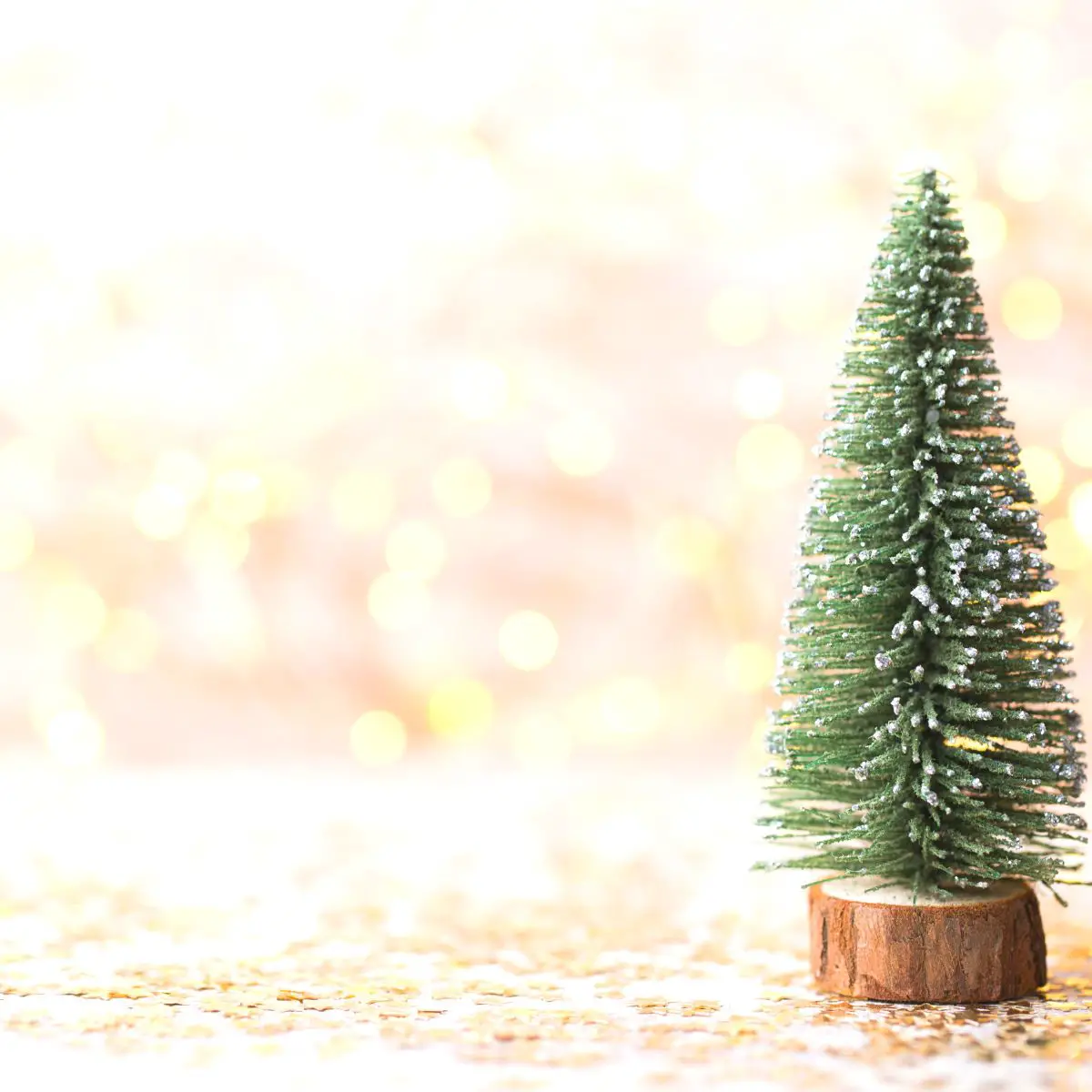 Startbild für Weihnachtsquiz. Kleiner Tannenbaum in Sternenkonfetti.