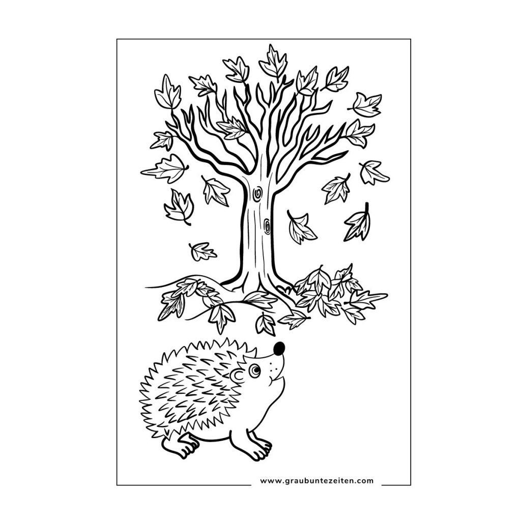Ausmalbilder Herbst Igel - Grau-Bunte-Zeiten