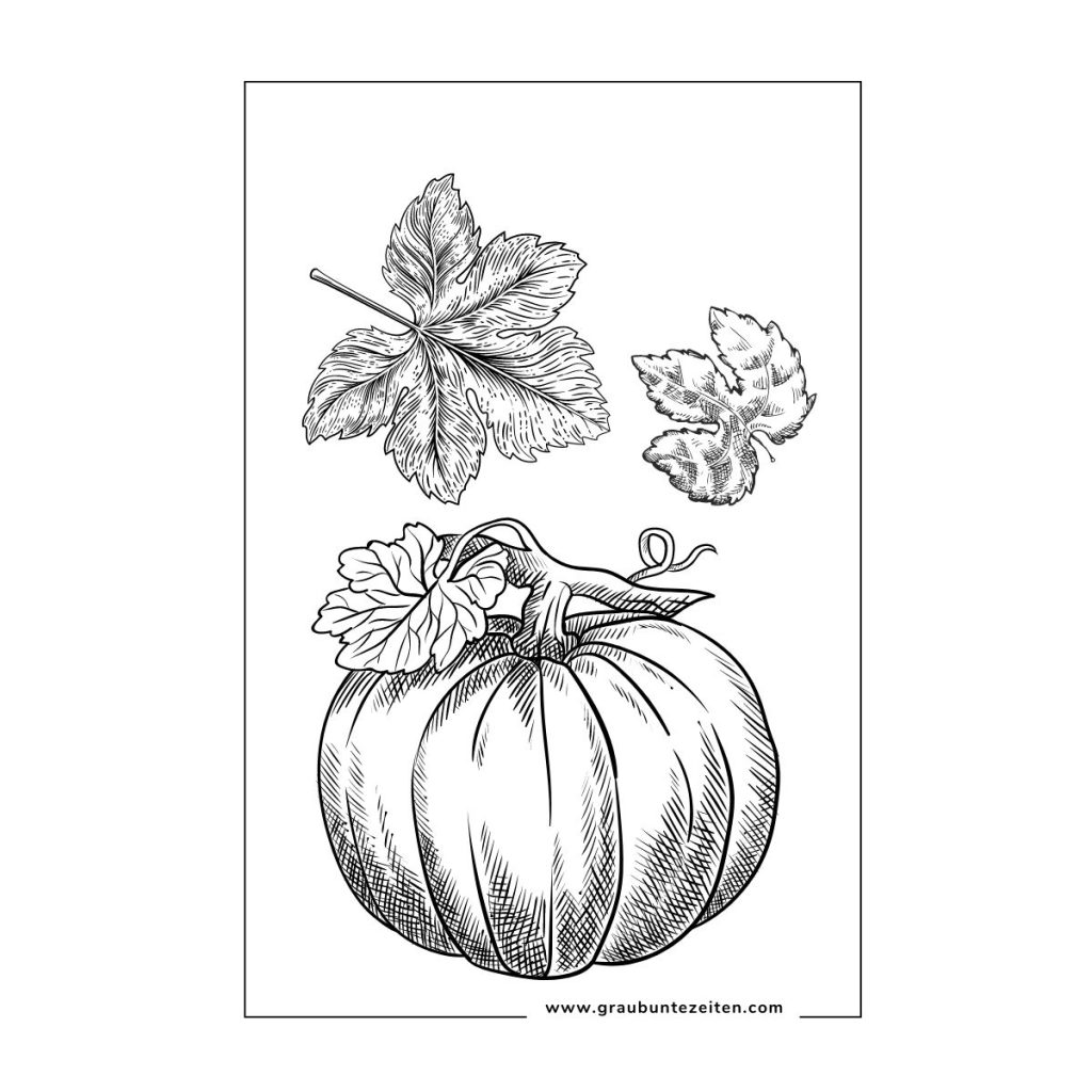 Die perfekte Tasse Kaffee zu Hause zubereiten